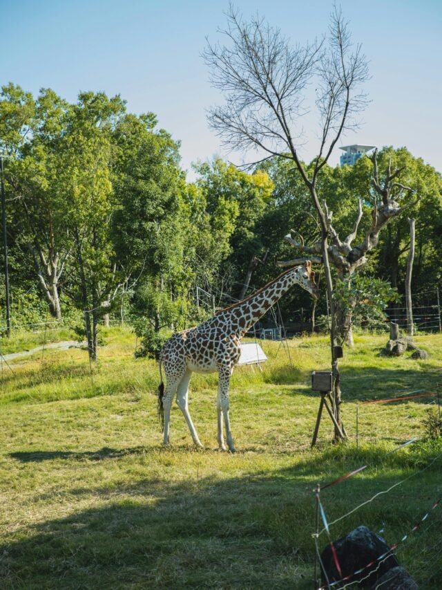 Wildlife Sanctuaries